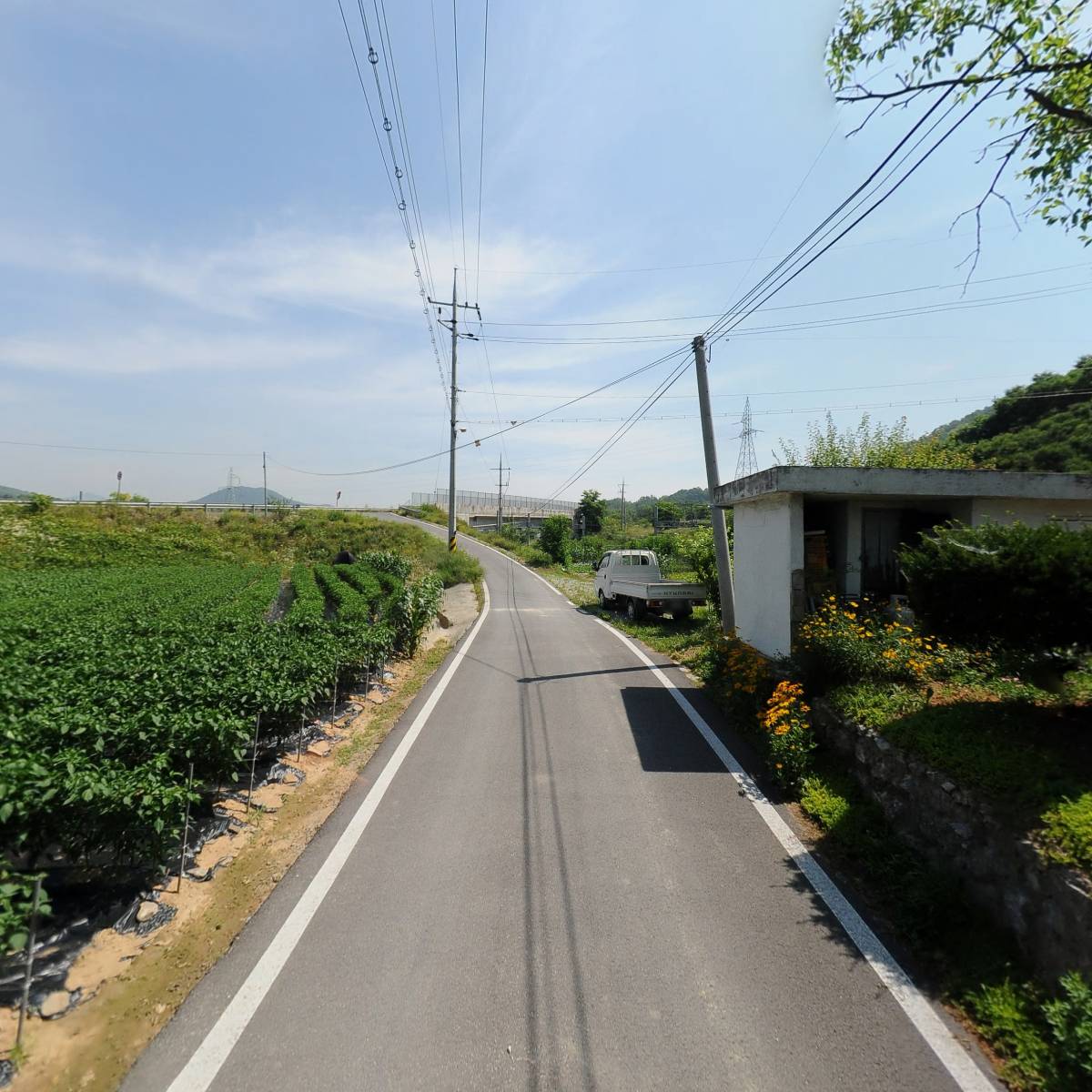 진나라공방_2