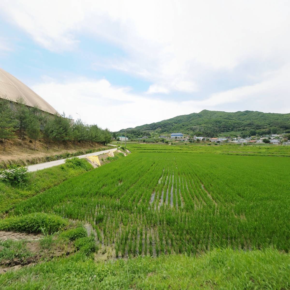 아세아시멘트(주) 제천