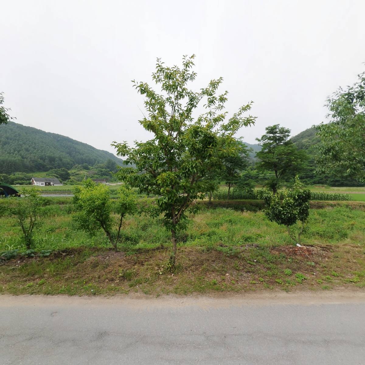 금마종합중기_3