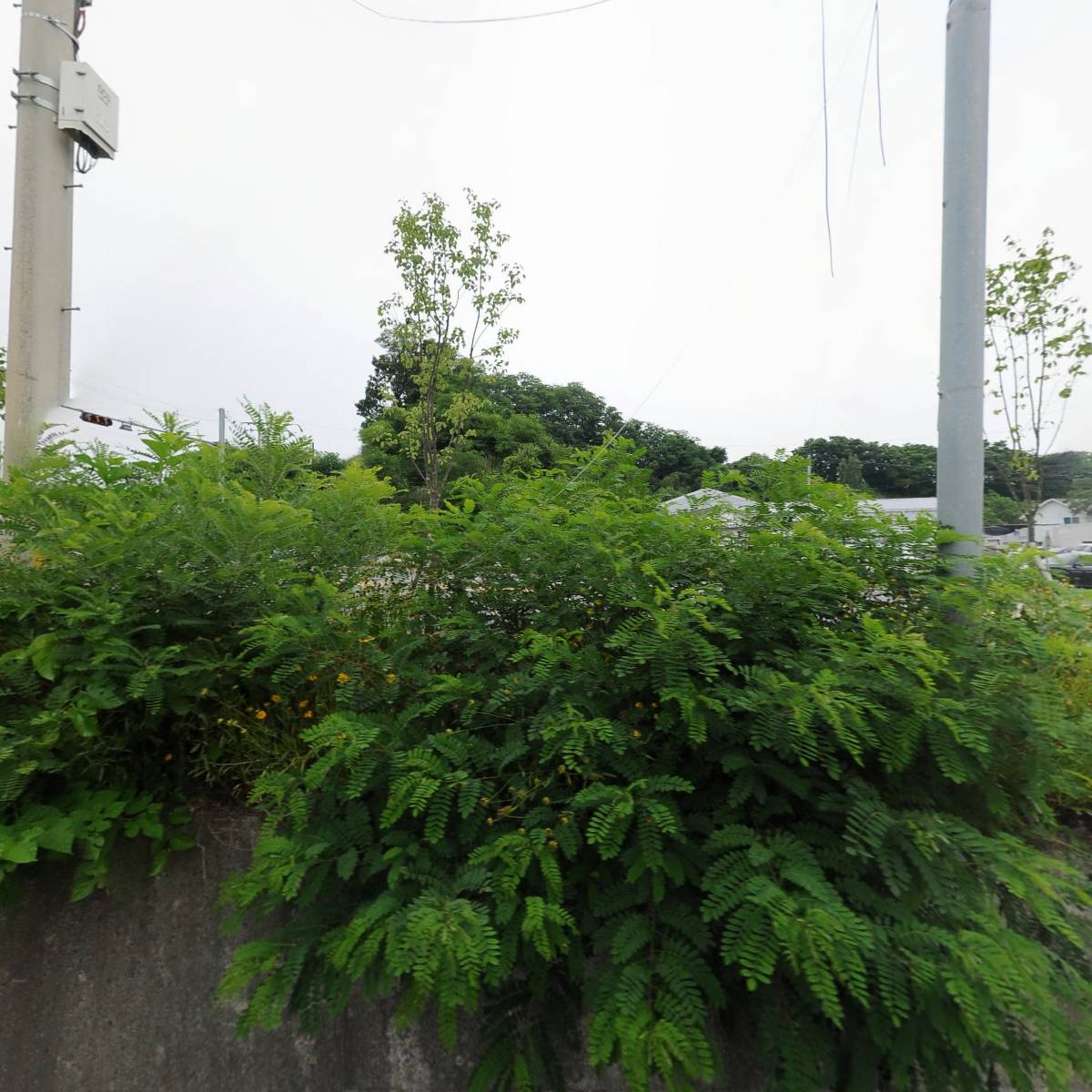 명선에너지_3