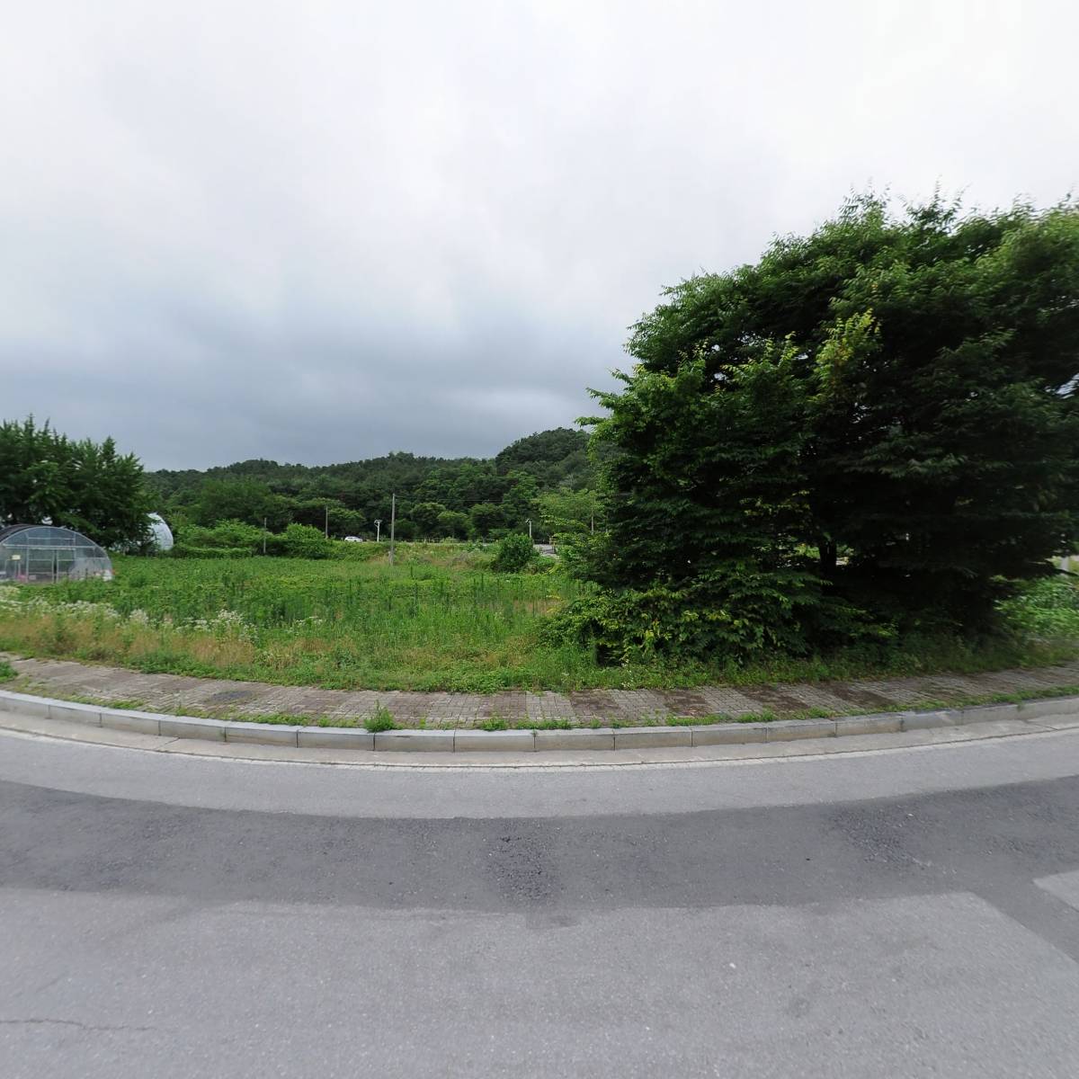 이디야 제천의림지DI점_3