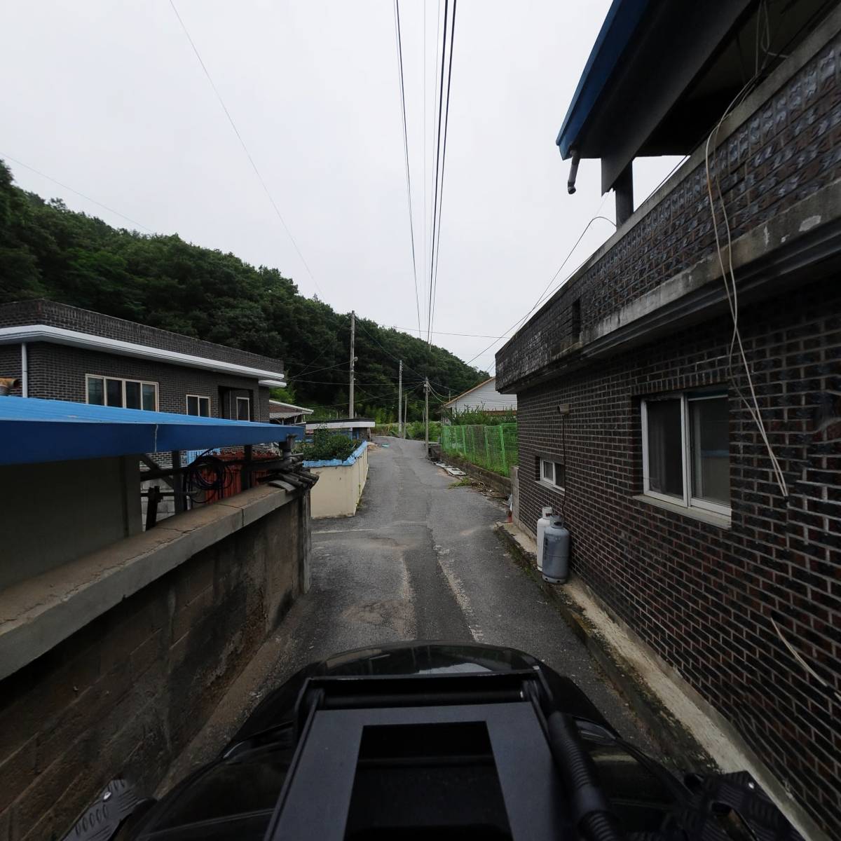 영동군 자두연구회_4