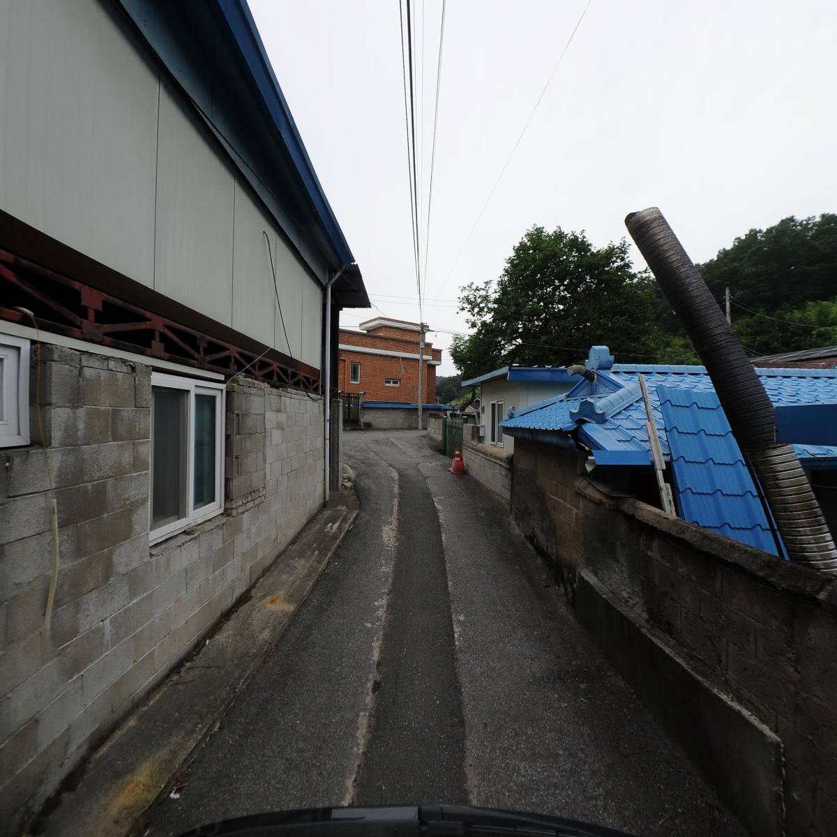 영동군 자두연구회_2