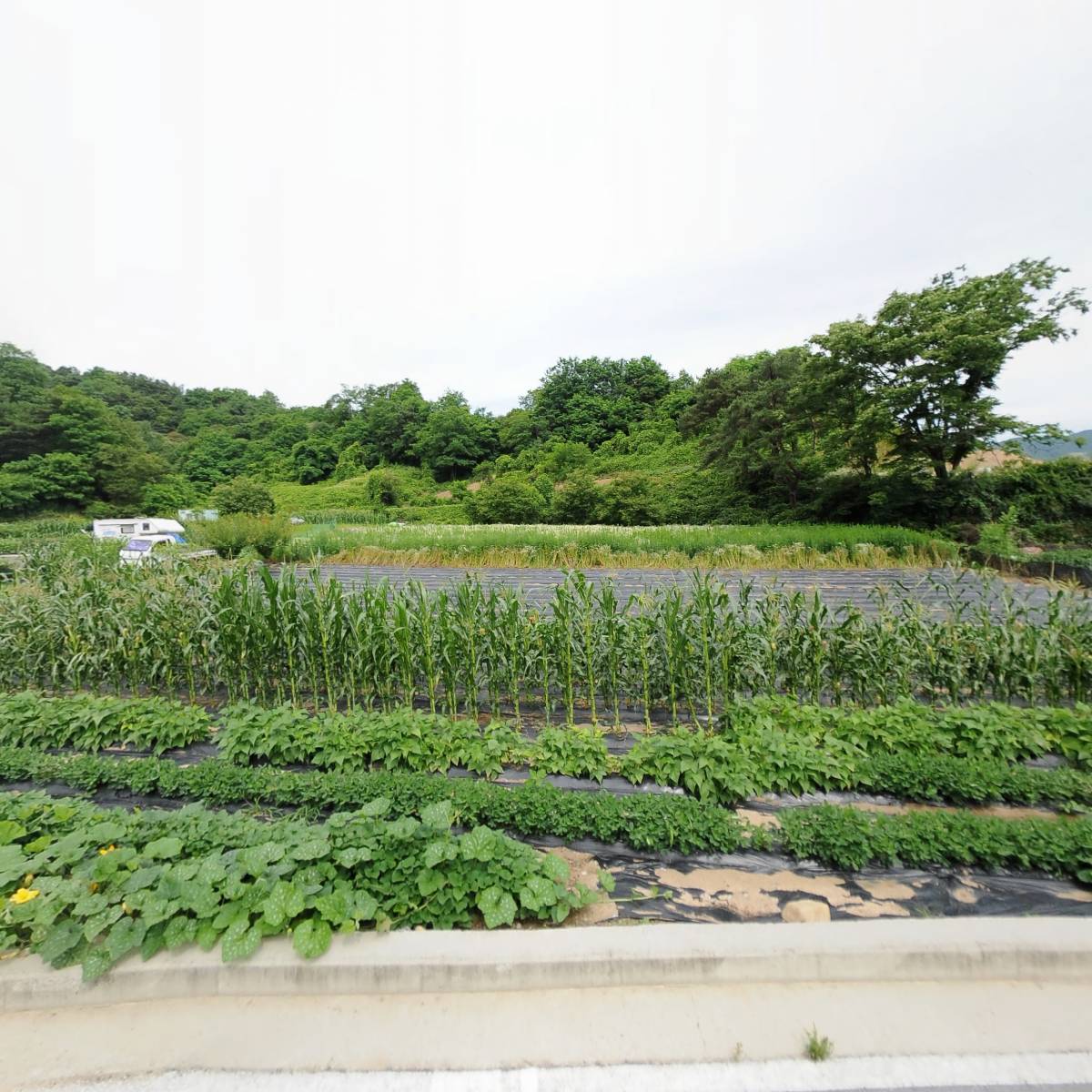 (주)제천유한킴벌리