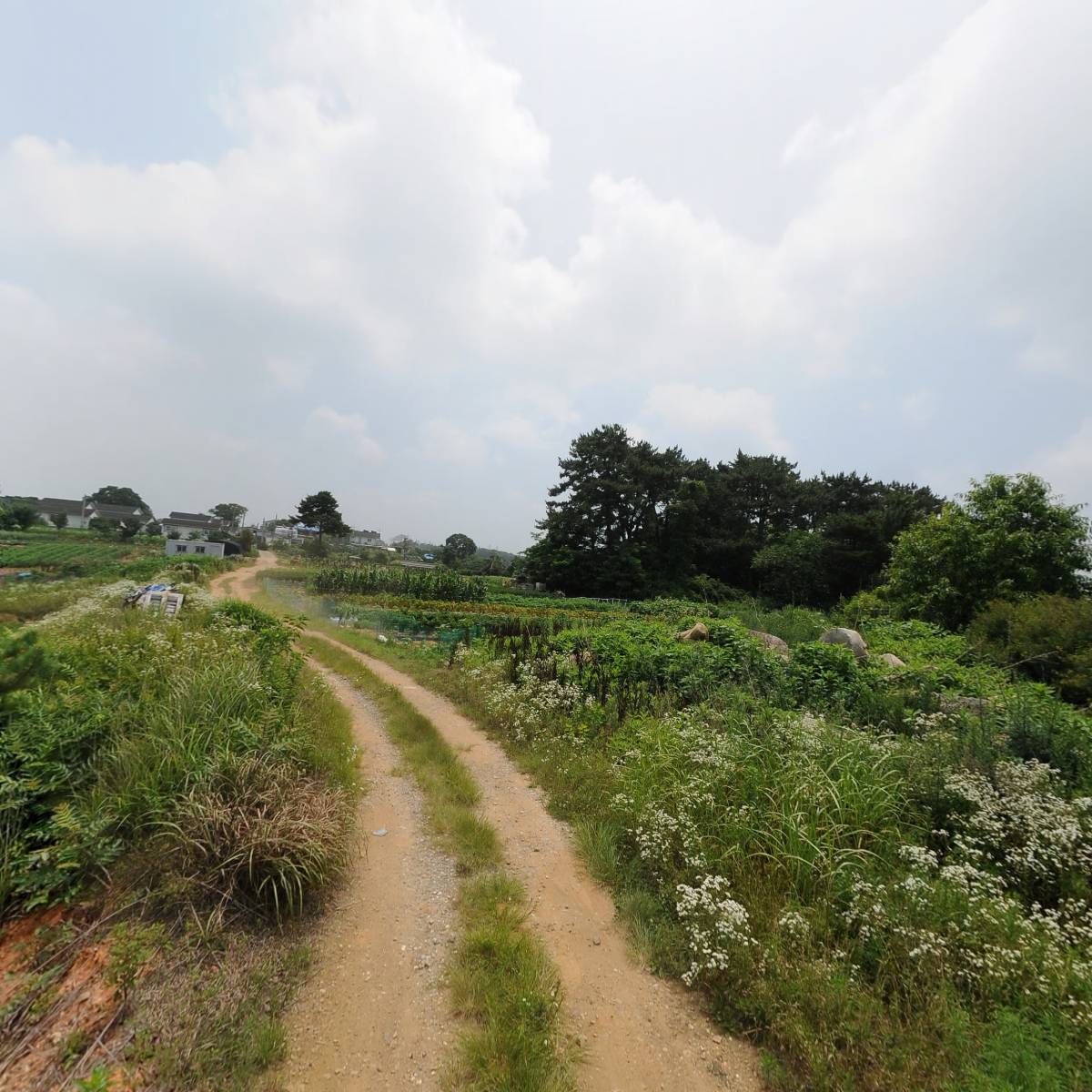 지후테크_2