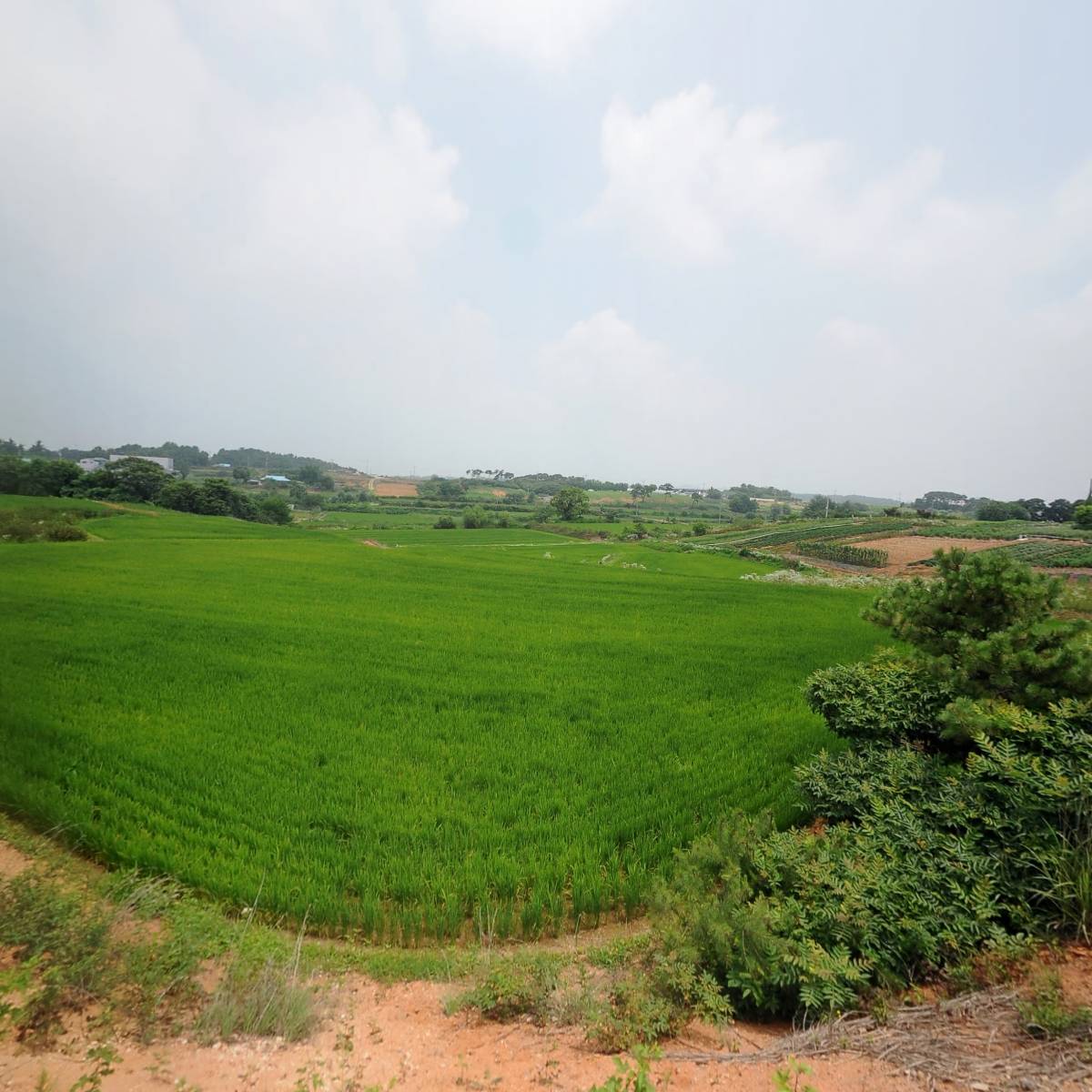지후테크