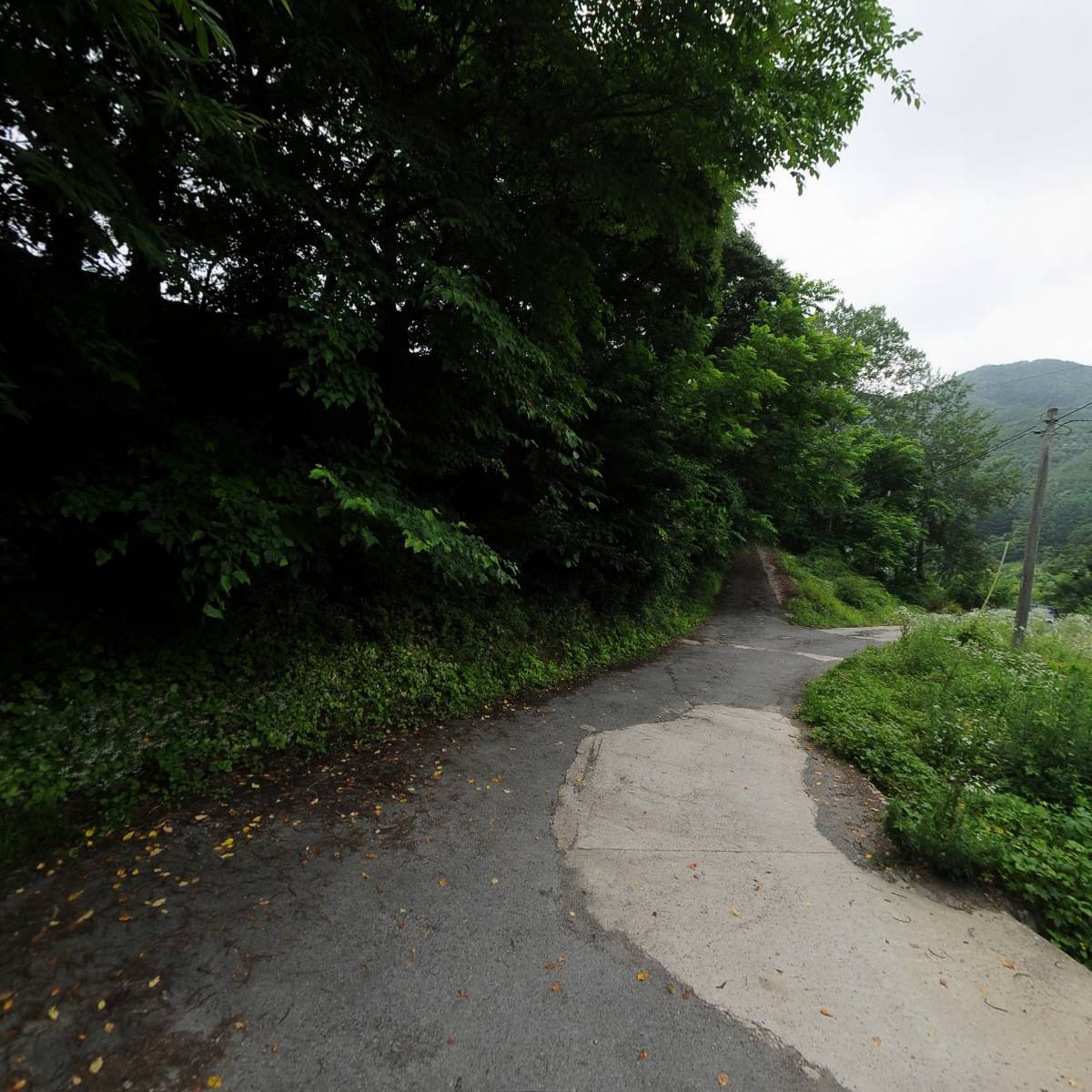 자유학교 물꼬_2