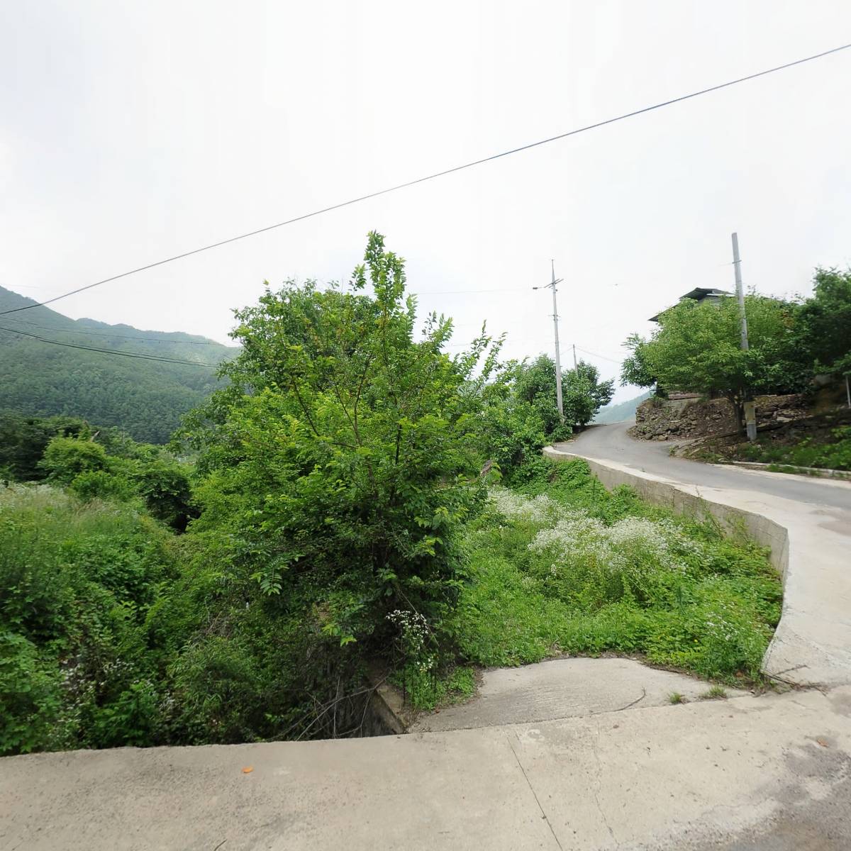 자유학교 물꼬_3