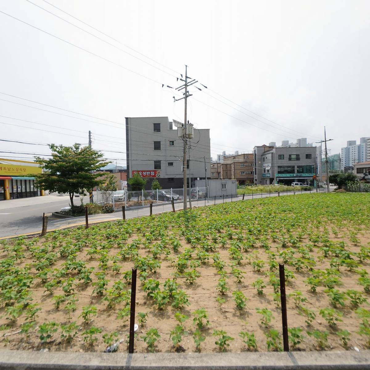 킹콩부대찌개충북제천점