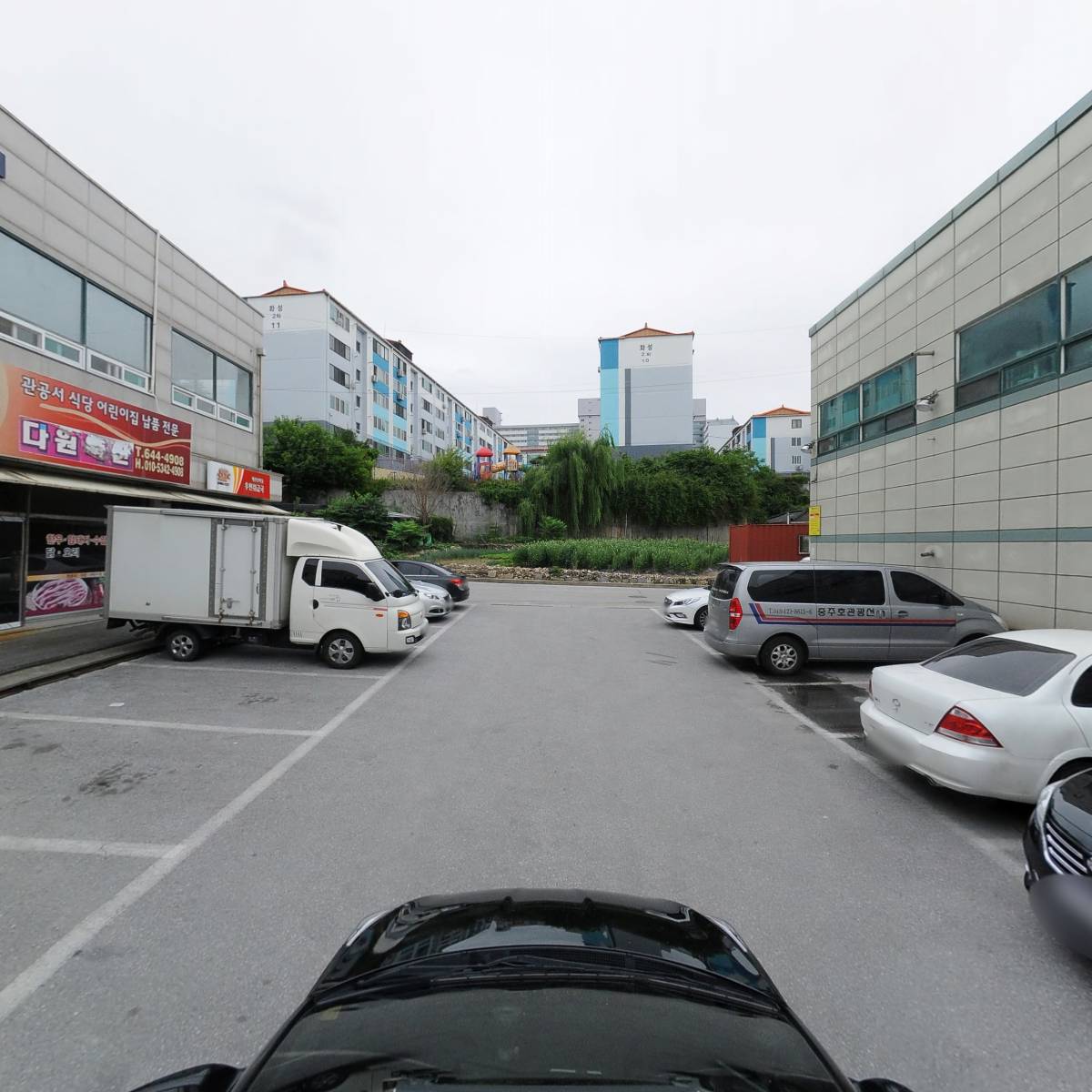 돼지세상_4