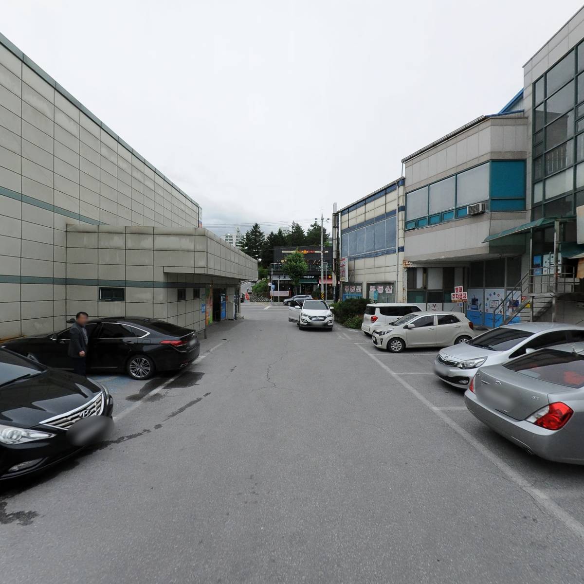 돼지세상_2