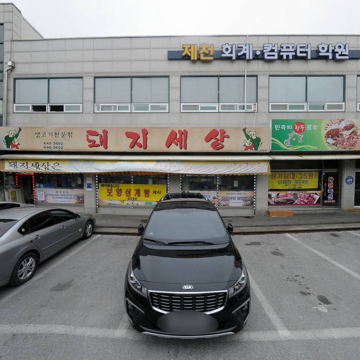 돼지세상_3