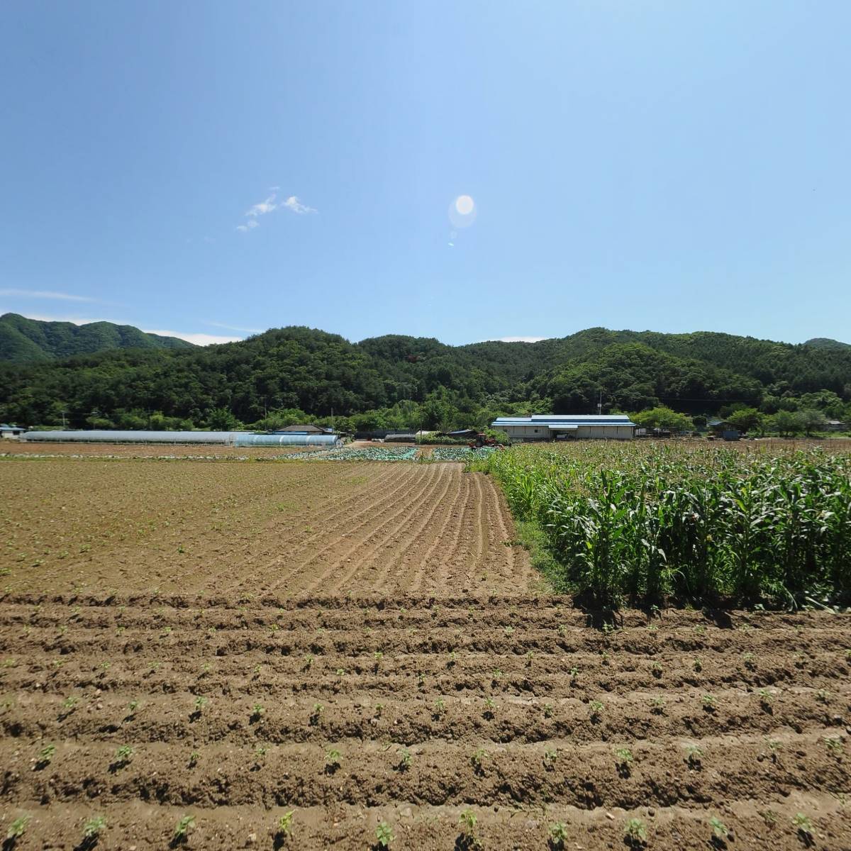 청림조경건축