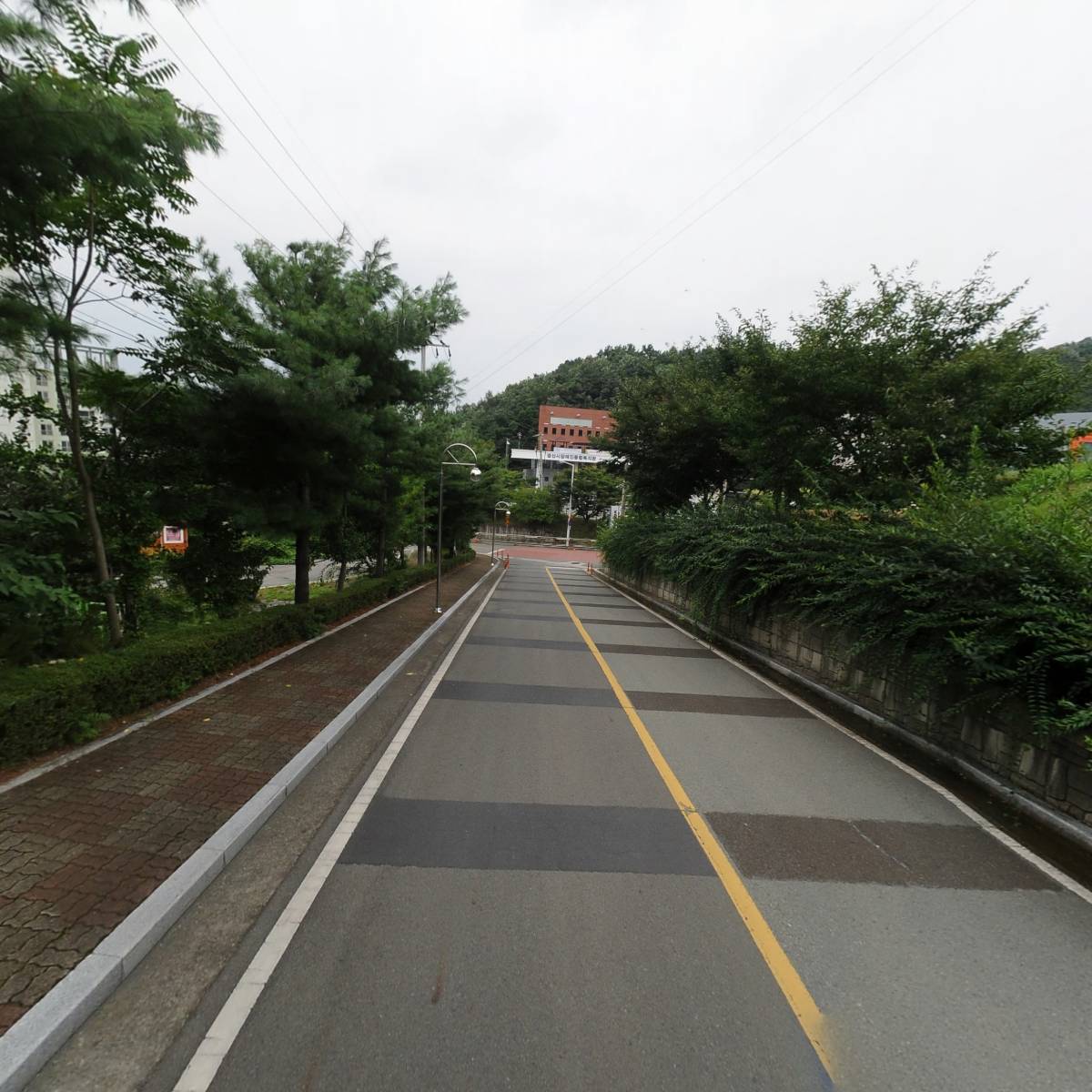 장군컴퍼니_2
