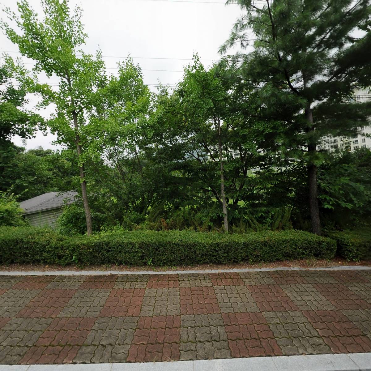 장군컴퍼니