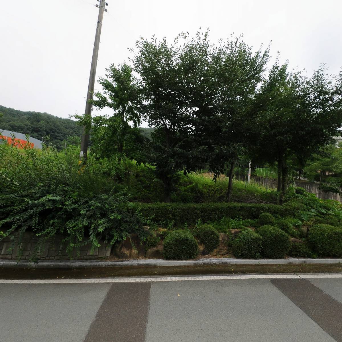 장군컴퍼니_3