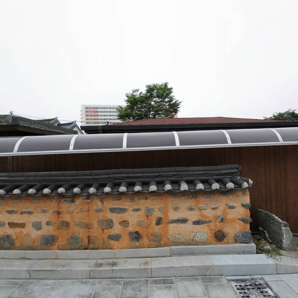안동식선