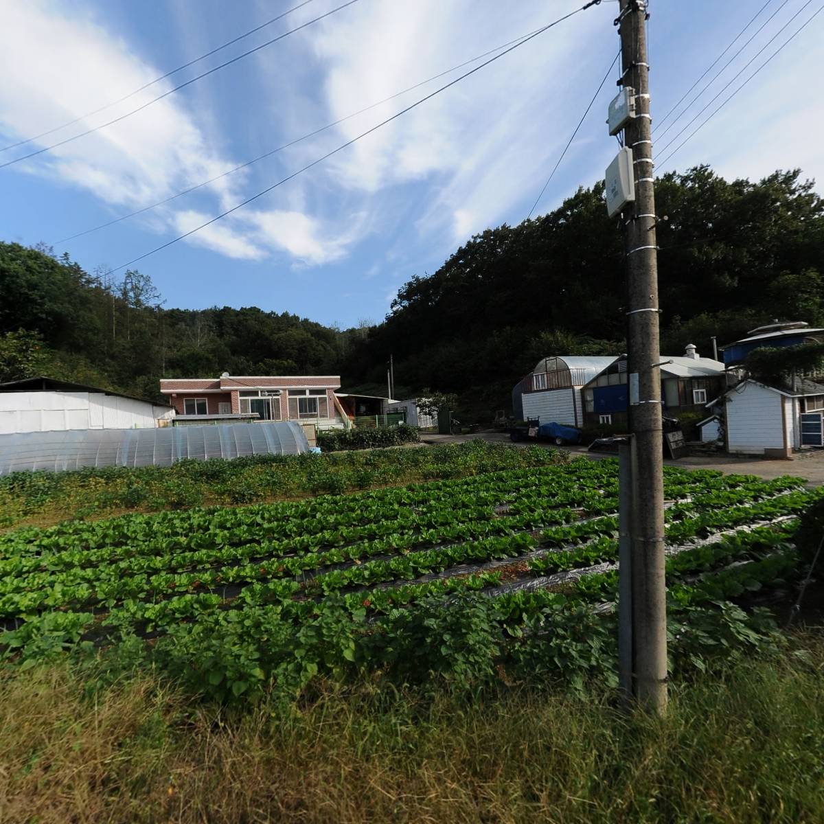 주식회사 세리안