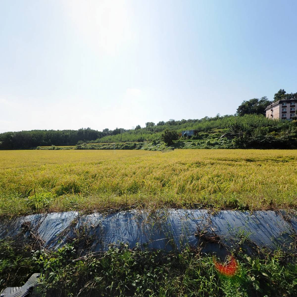 농업회사법인주식회사경원푸드