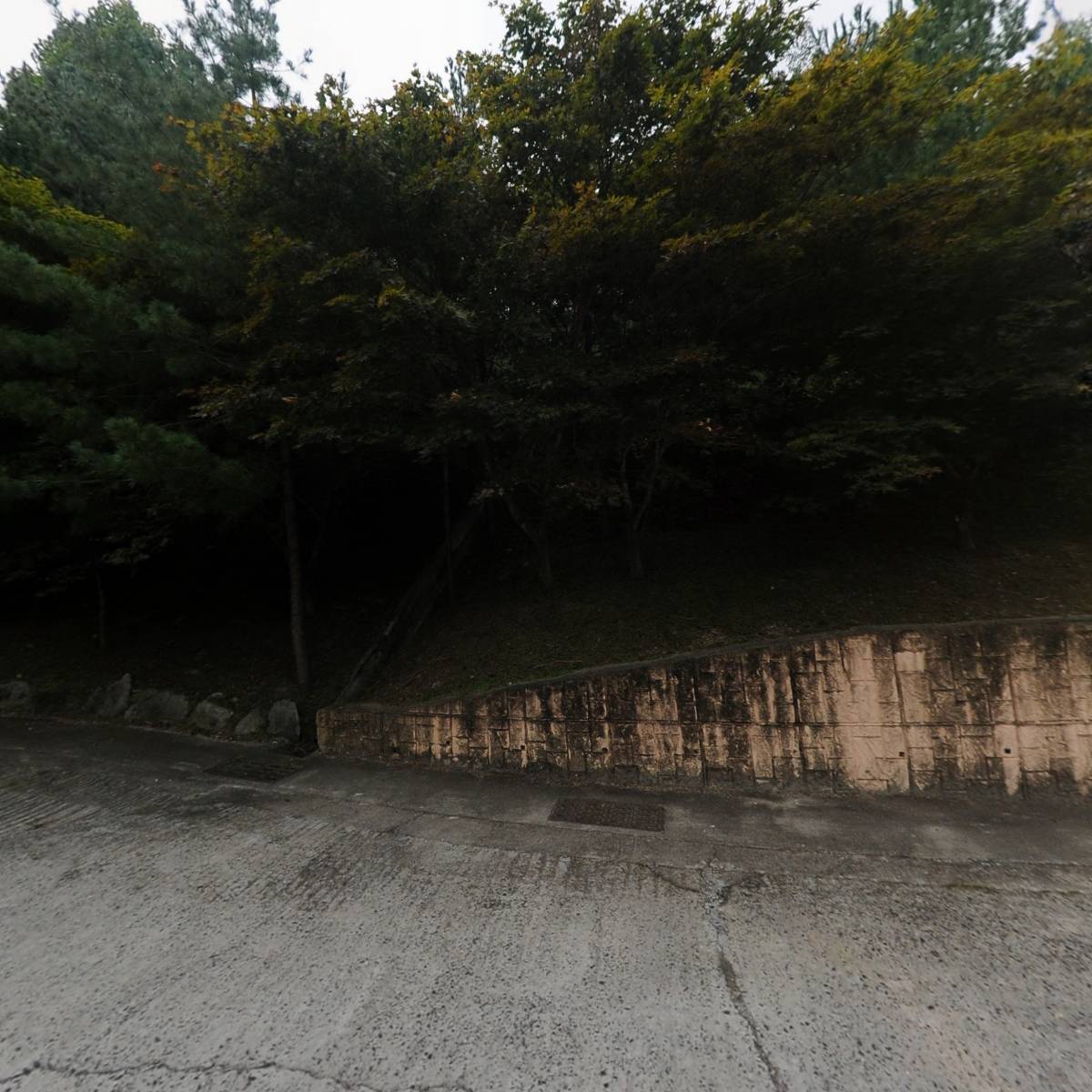 안동수상레저(경북제2조종면허시험장)_3