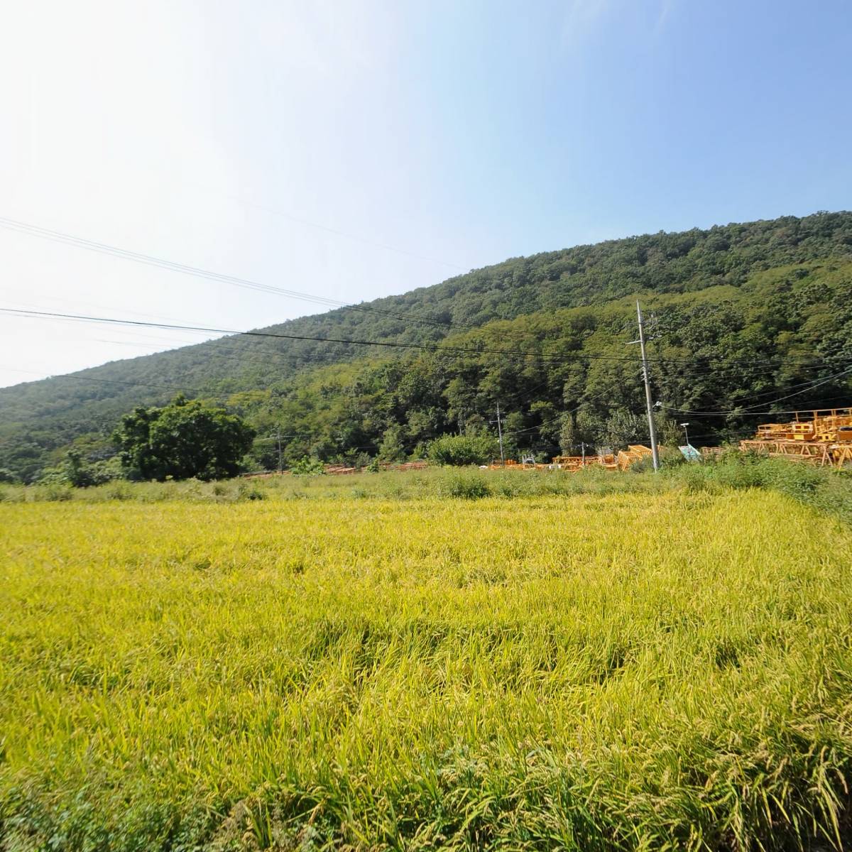 갑산전자