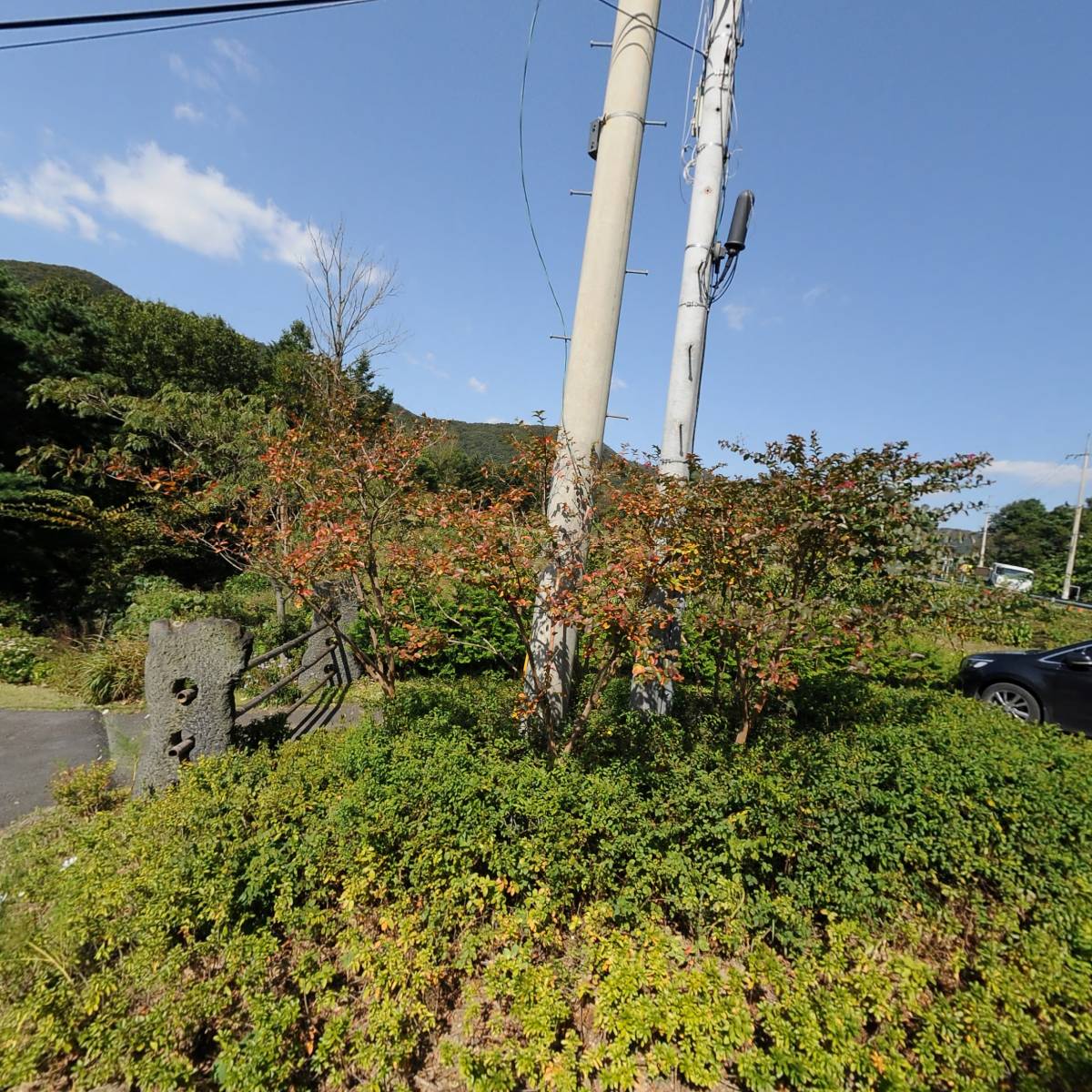 로스가든（ROHS GODEN）