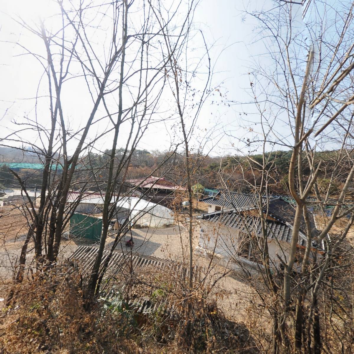 동화식당
