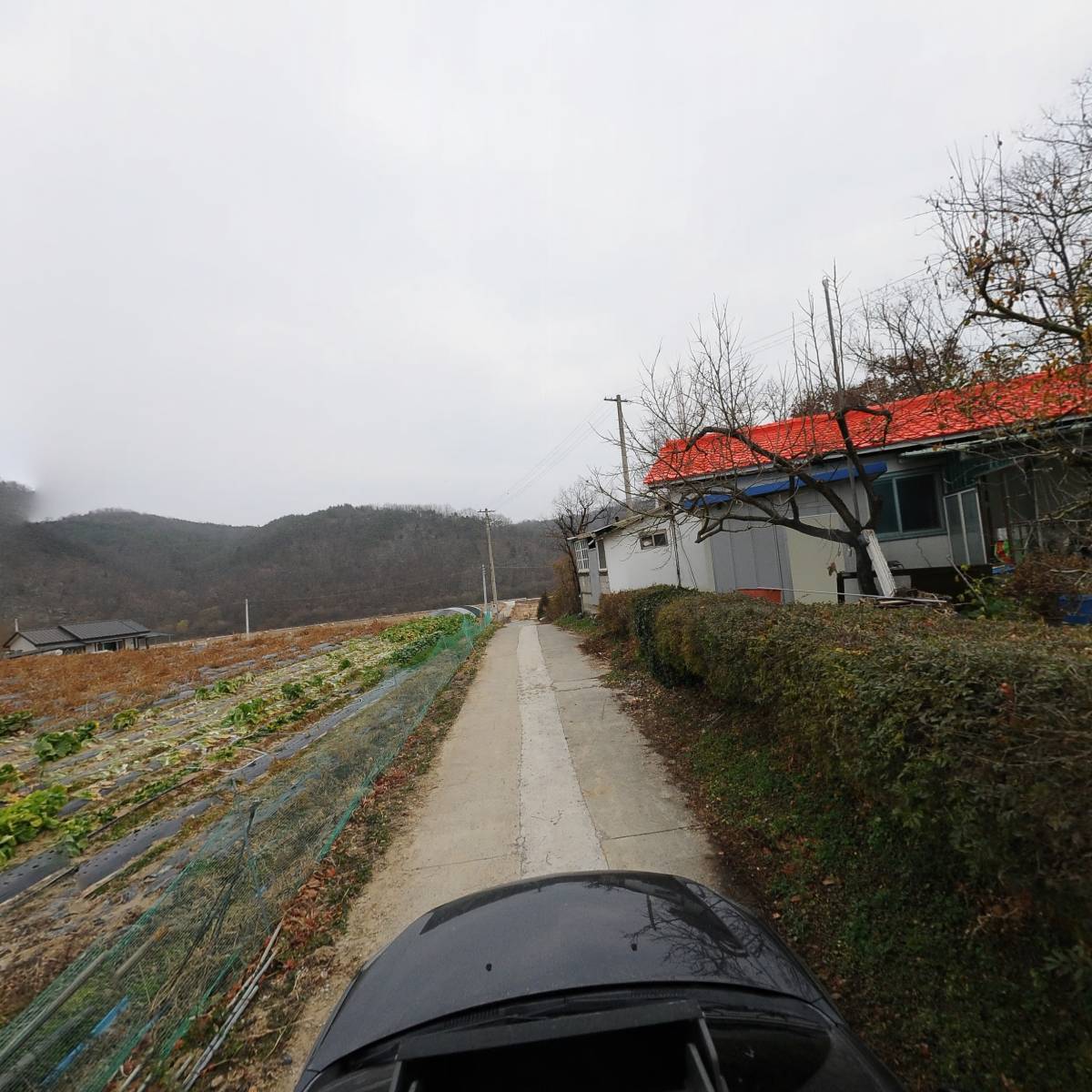 소보흑염소가공소_4