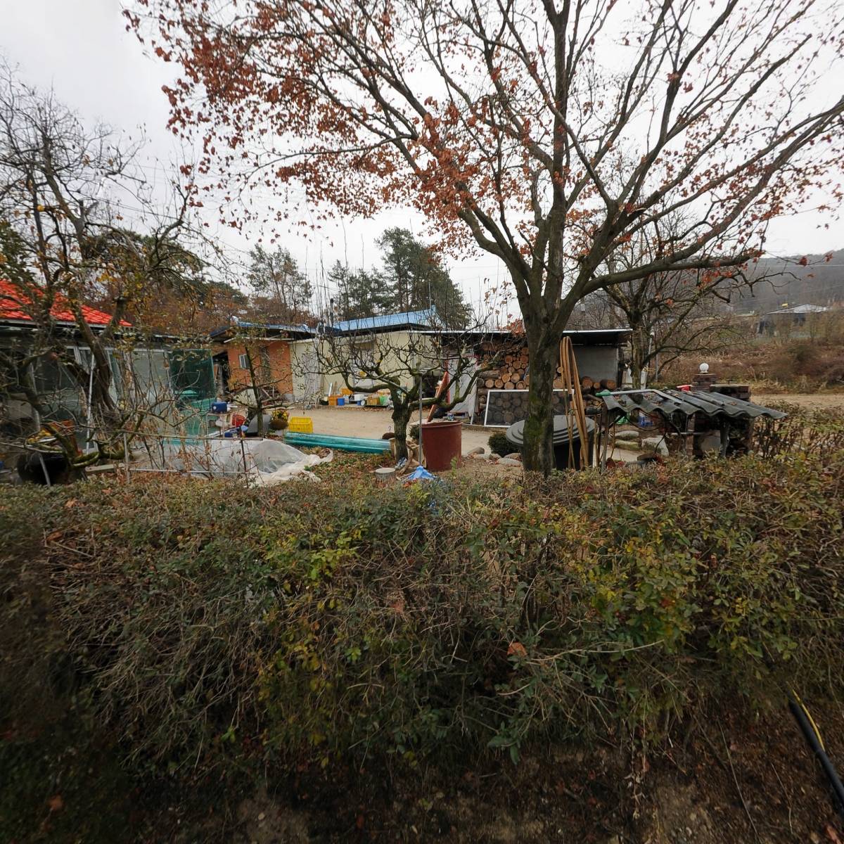 소보흑염소가공소