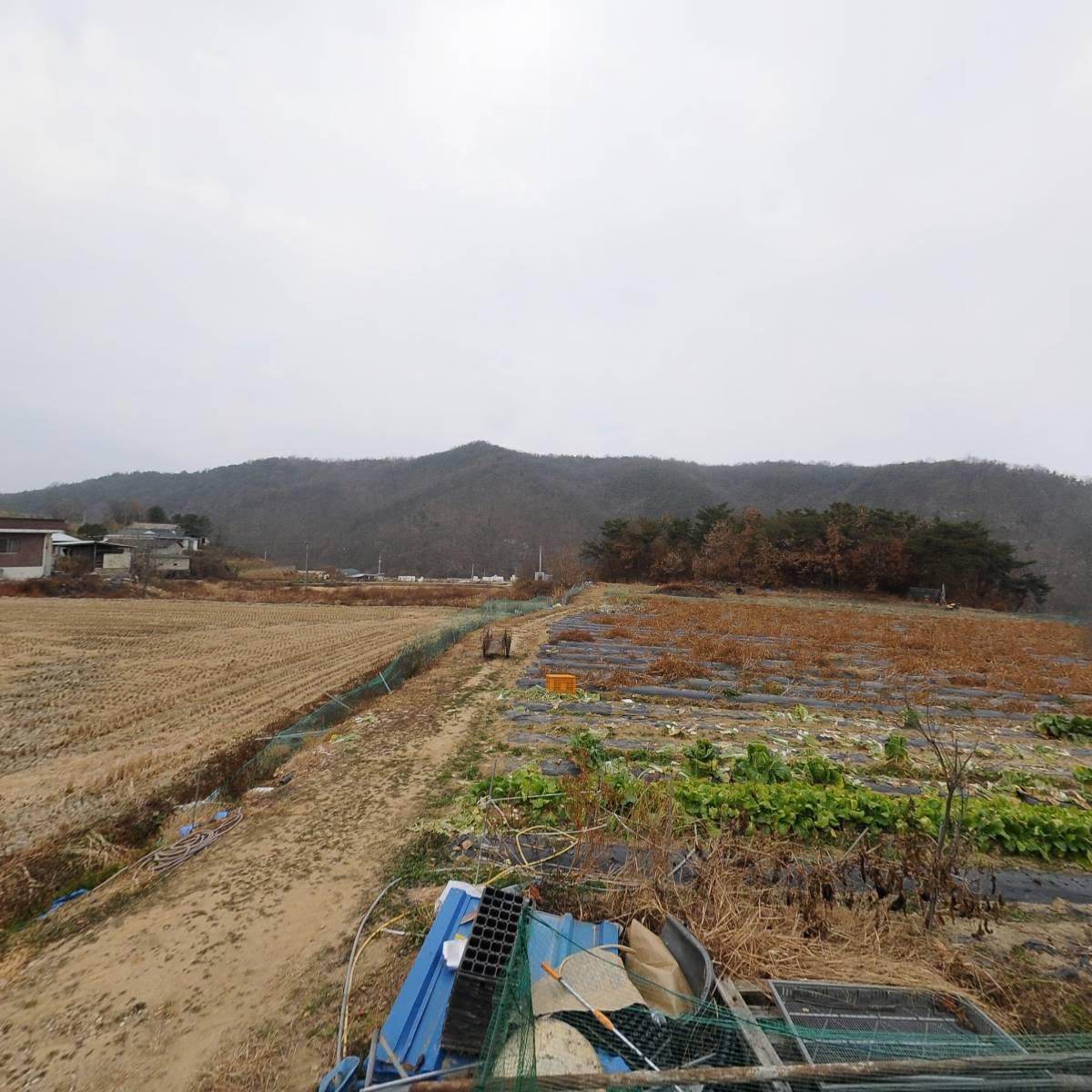 소보흑염소가공소_3