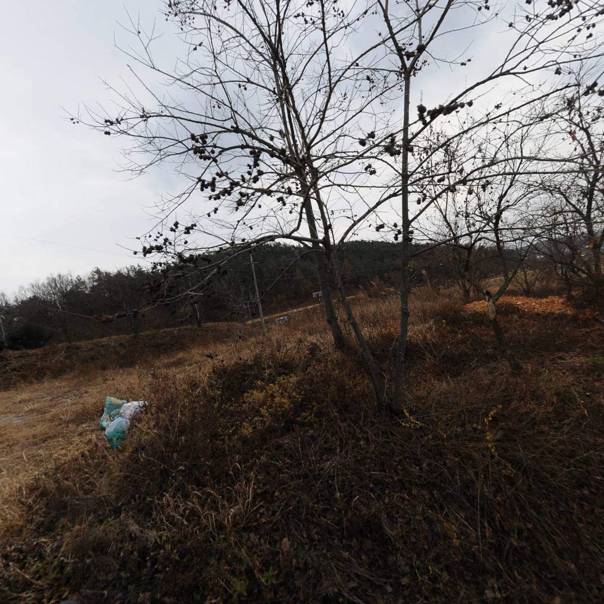 의성군농촌체험휴양마을협의회