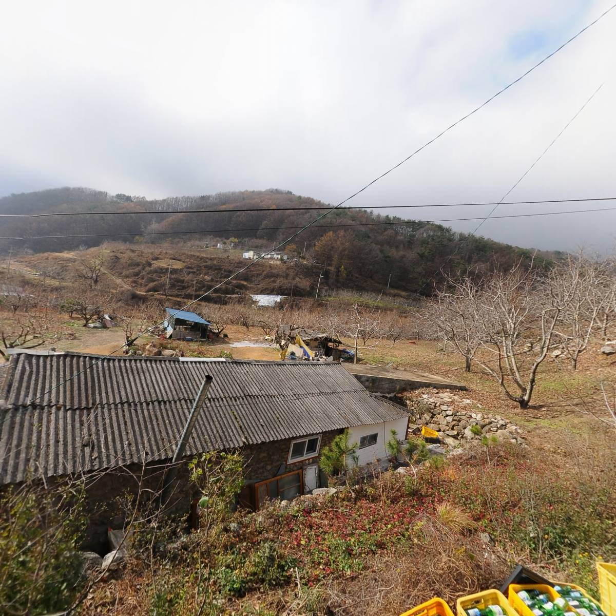예천곤충생태원 산골농원_3