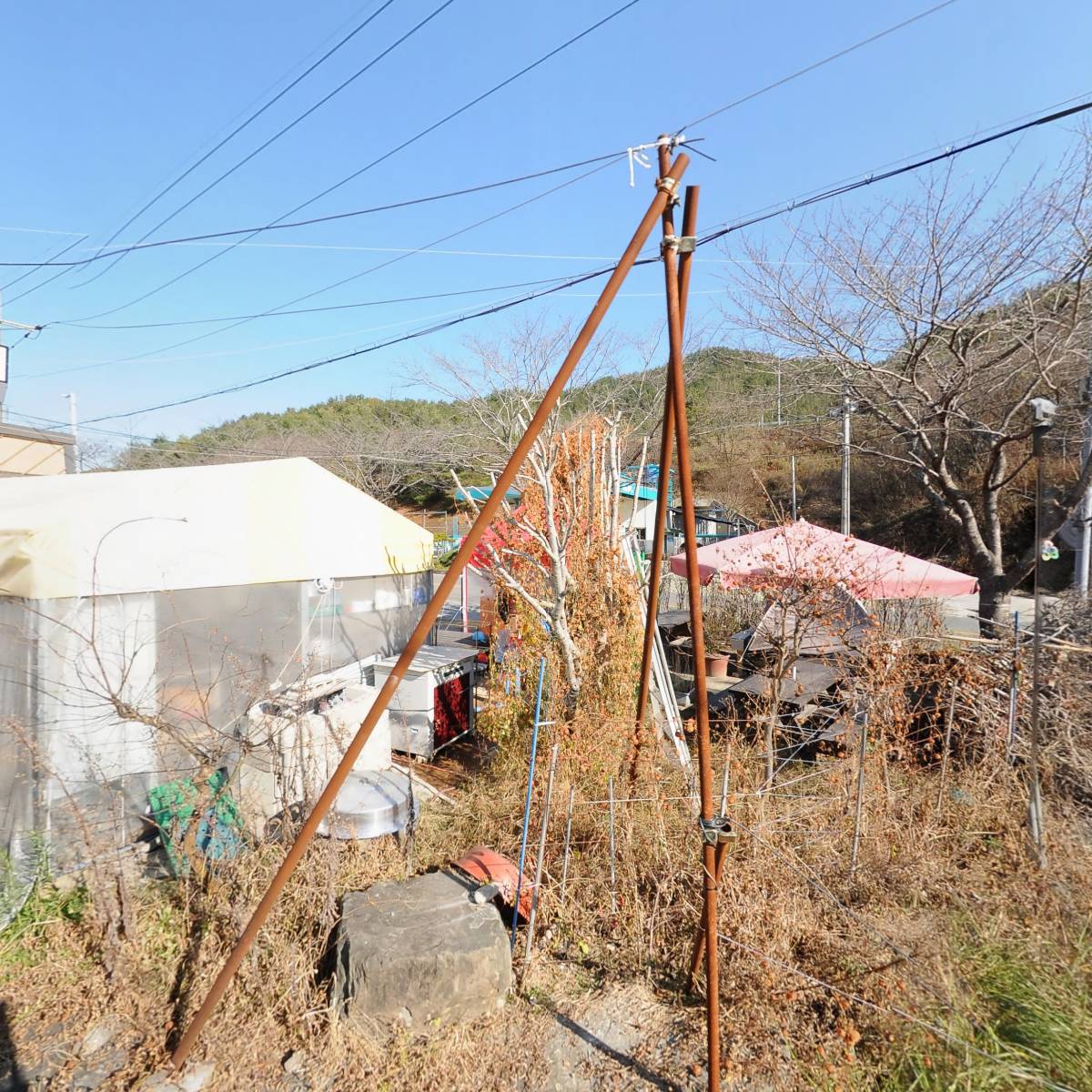 (주)새신흥관광여행사