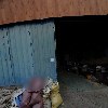 주식회사 삼성로프(지점)