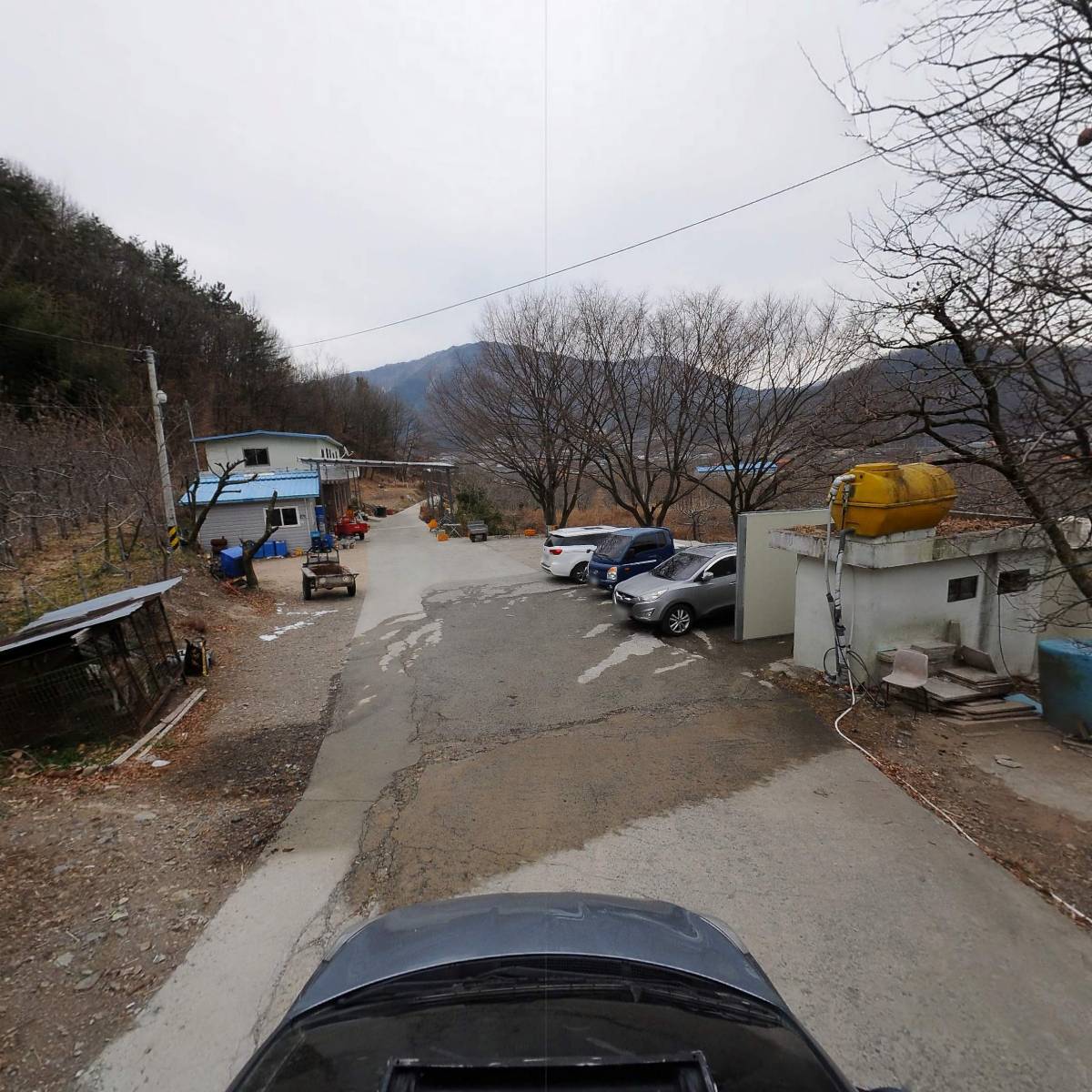 얼음골사과 무지개농원_4