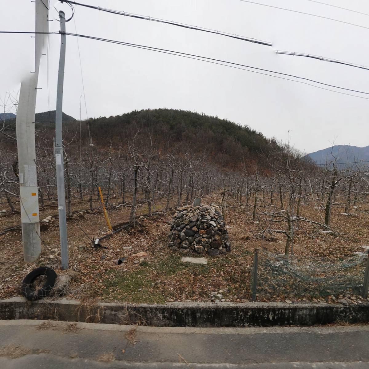 구만산 사과농원