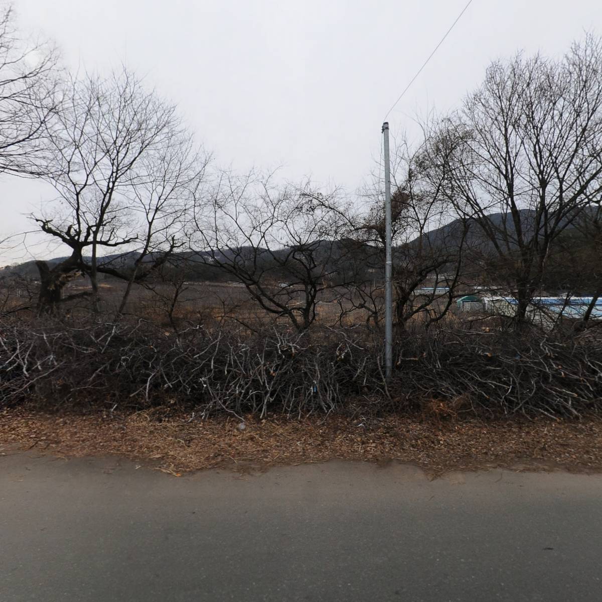 구만산 사과농원_3