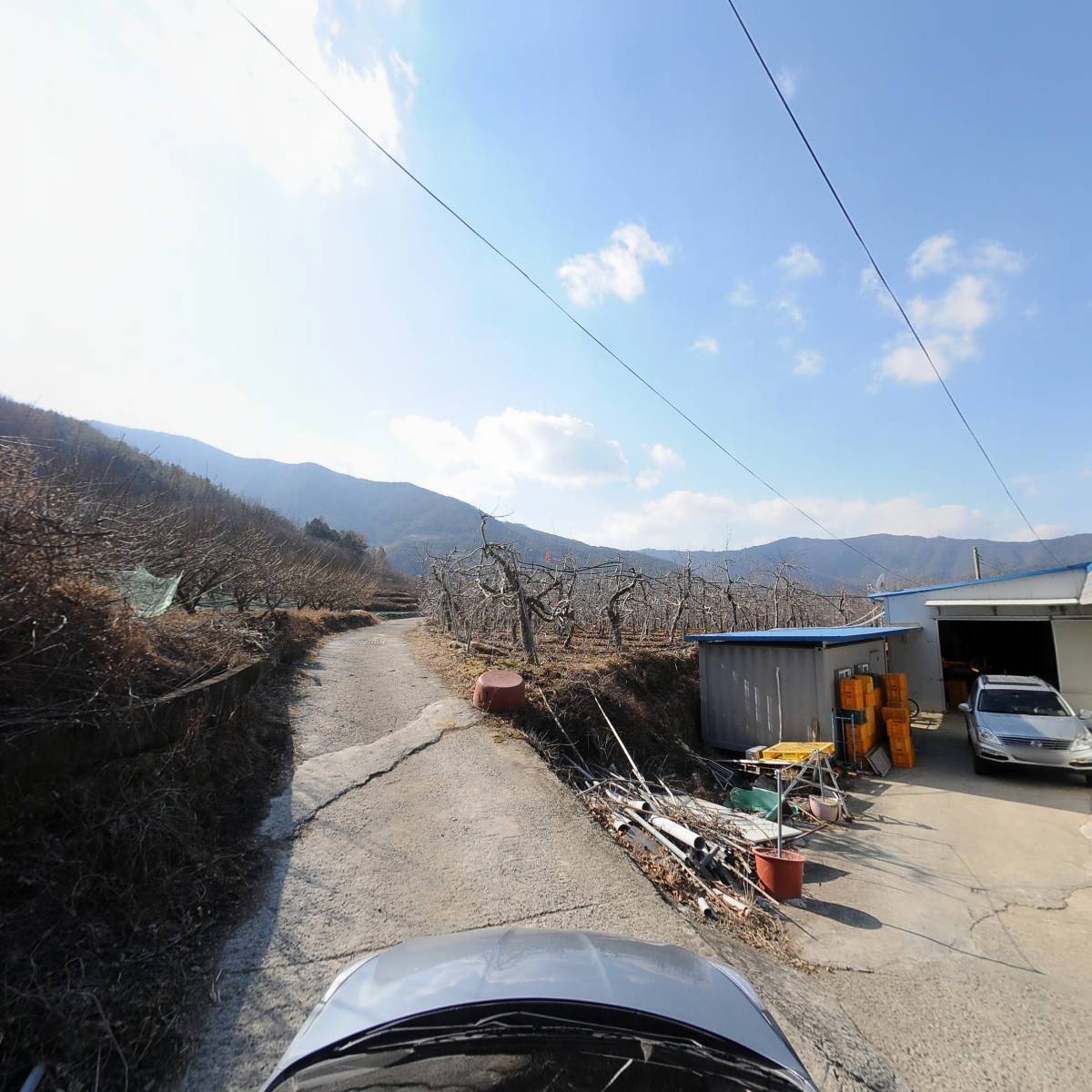 금보농원_4
