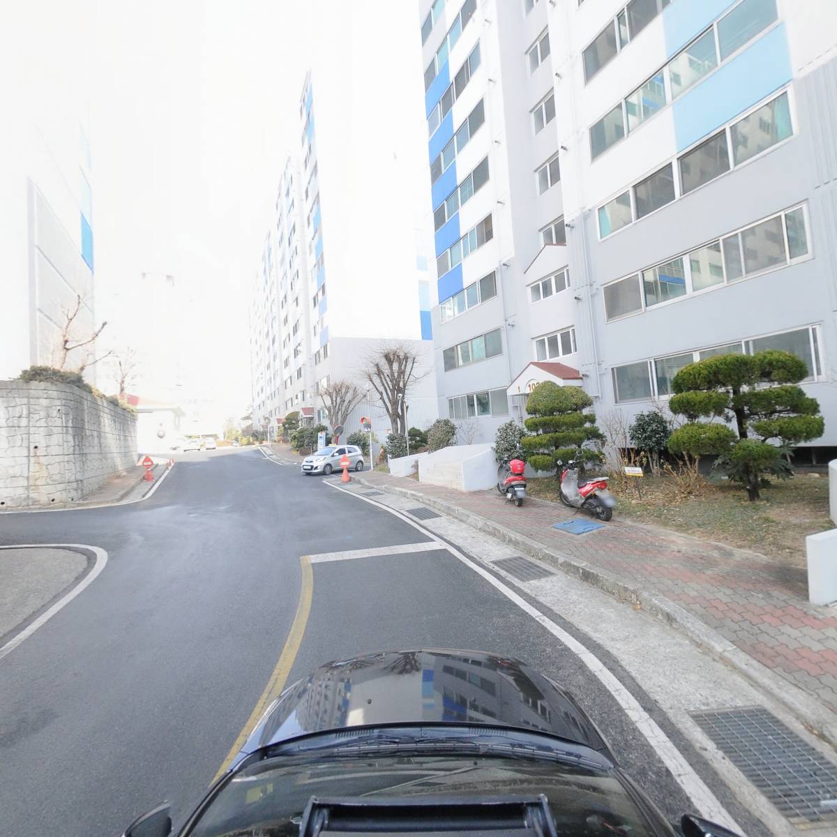 (사)한국야생화협회김해시지부_4