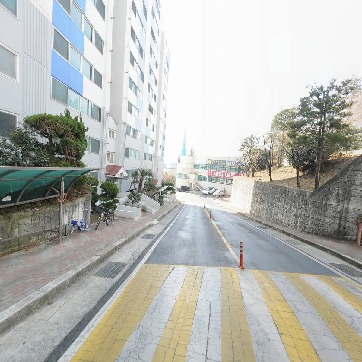 (사)한국야생화협회김해시지부_2