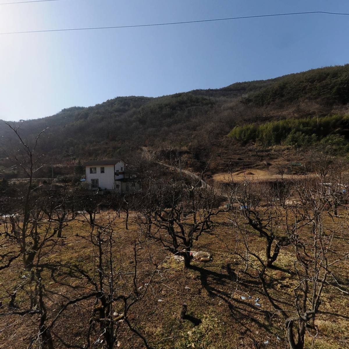 레라홀딩스_3