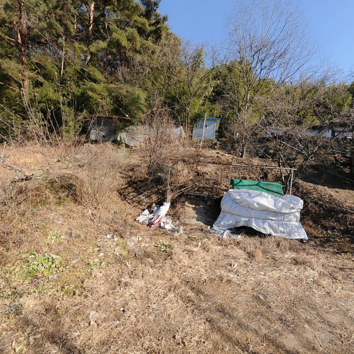 한국불교태고종은선암_3