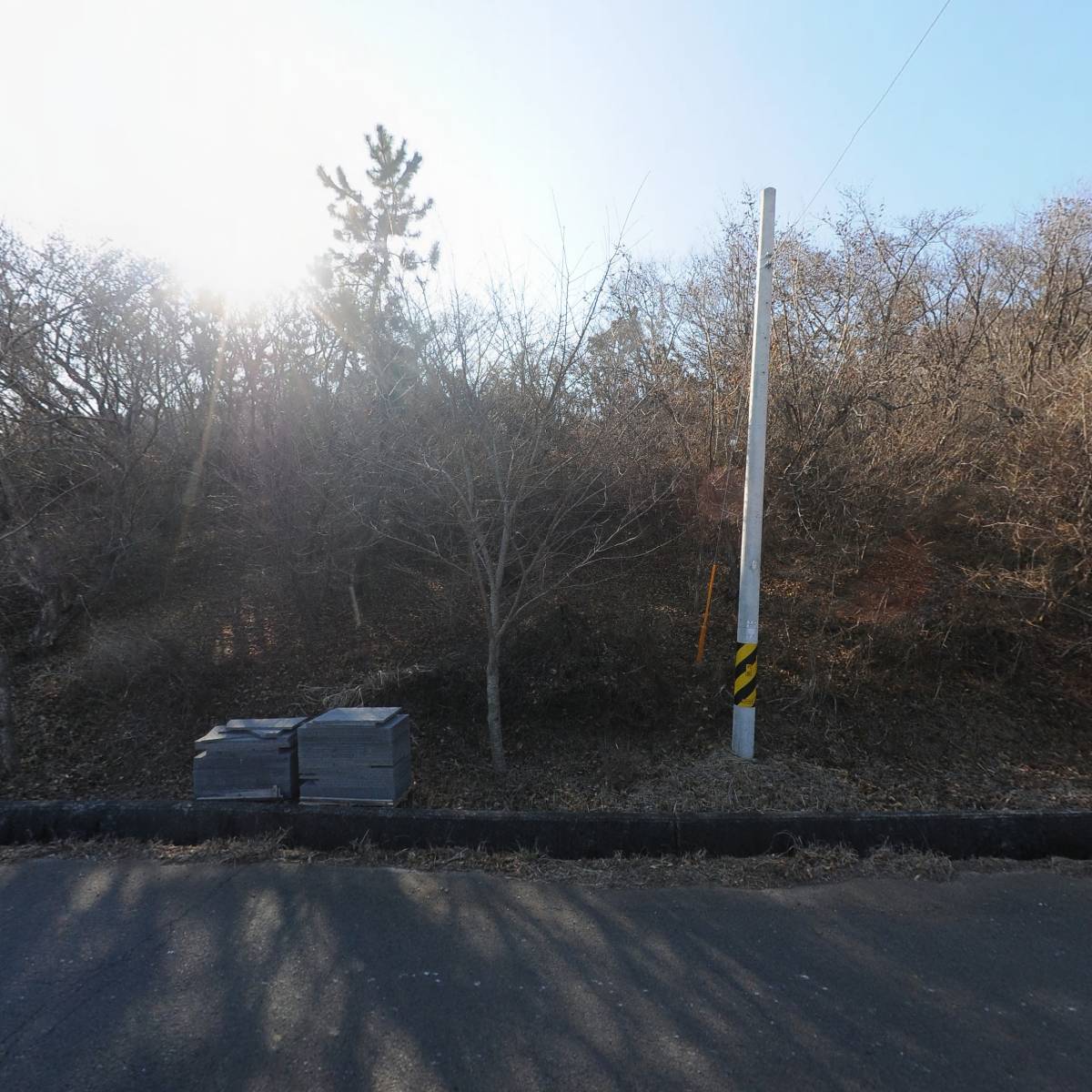 카페라모타_3