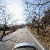 대한생약제품(주)_4