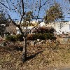 대한생약제품(주)