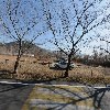대한생약제품(주)_3