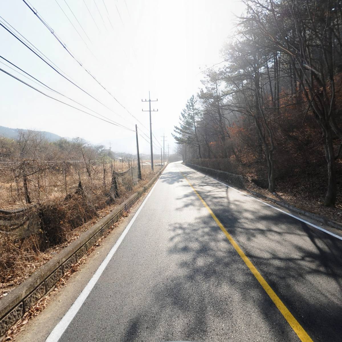 리베나인(Leebae9)_2