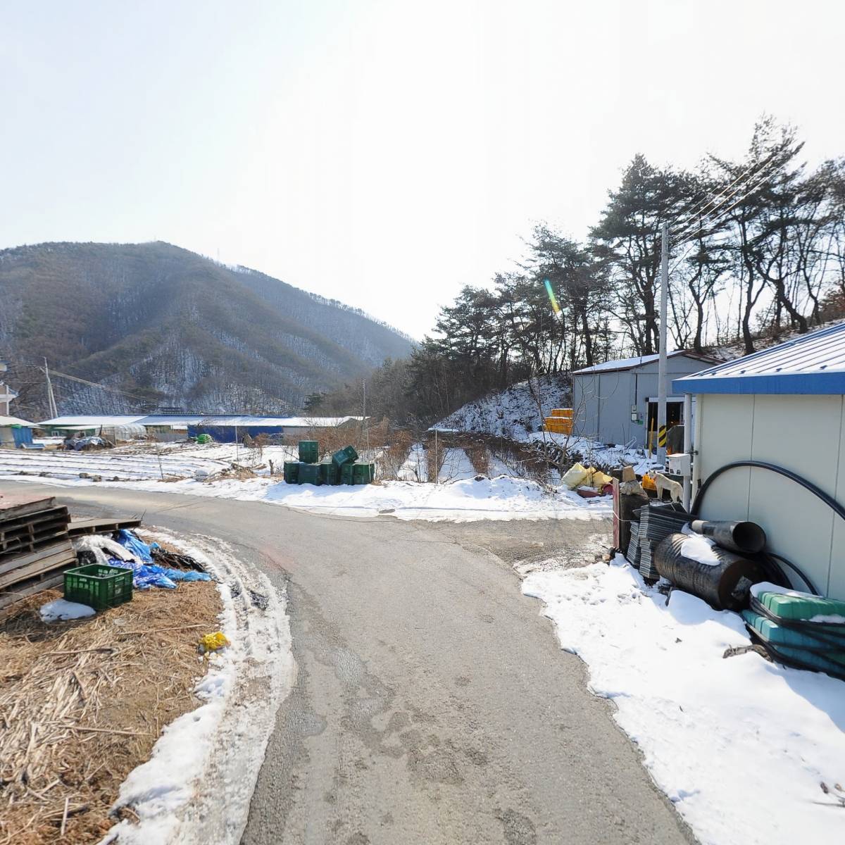 해모르사과농원_2
