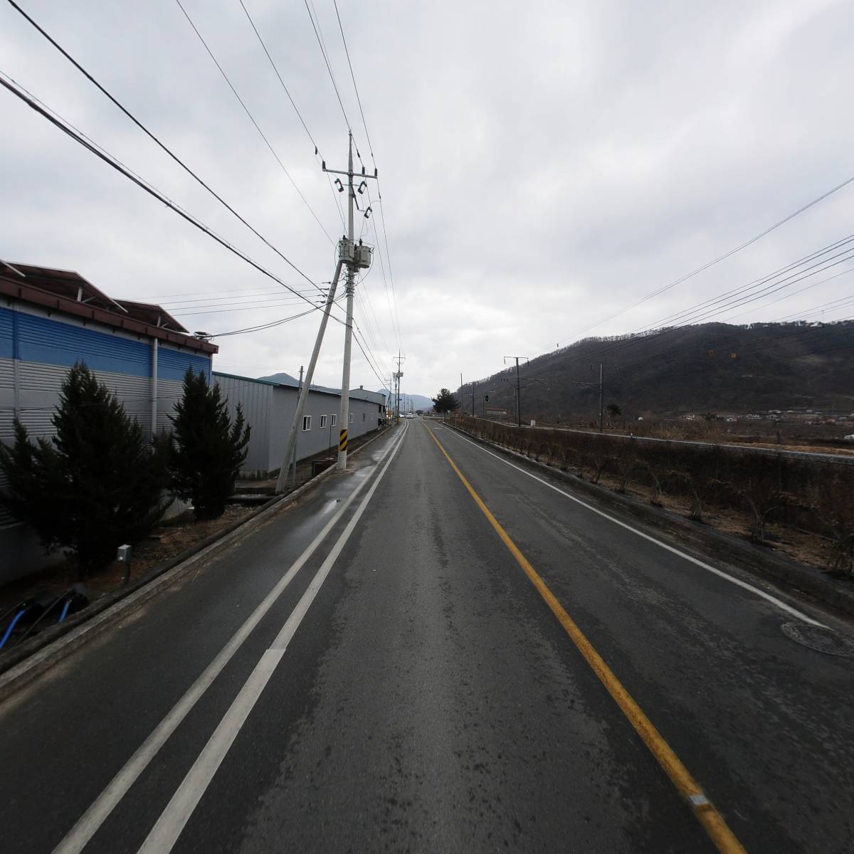 다선채영농조합법인_2