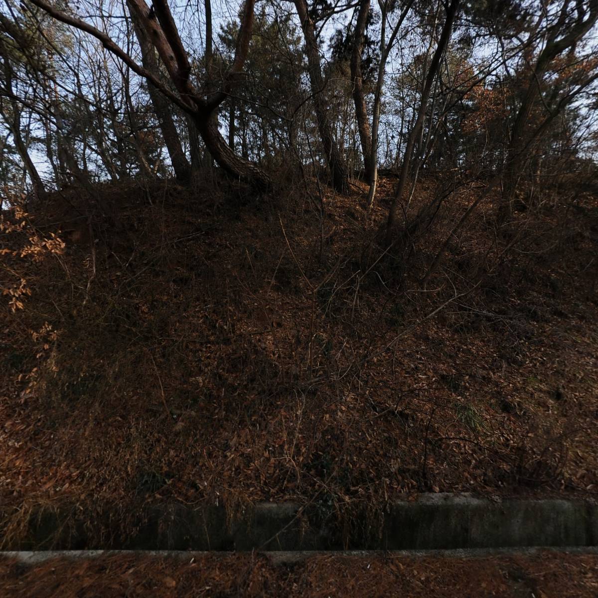 사포뚝소_3